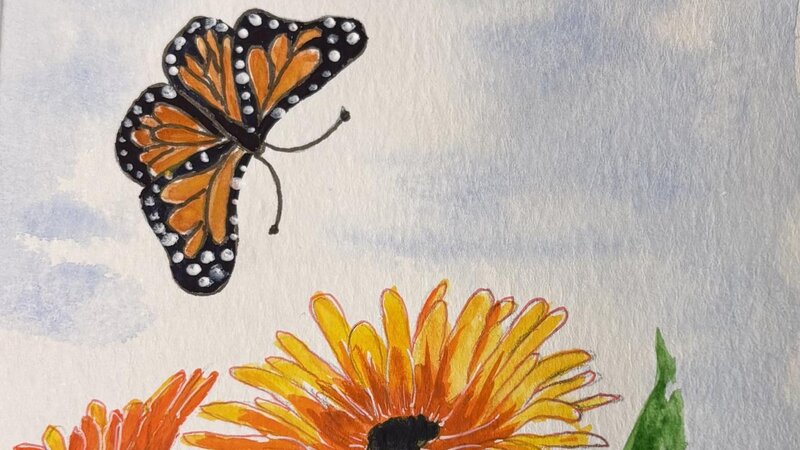 Butterfly and flowers