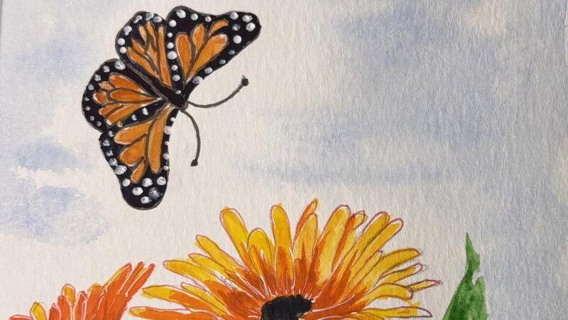 Butterfly and flowers