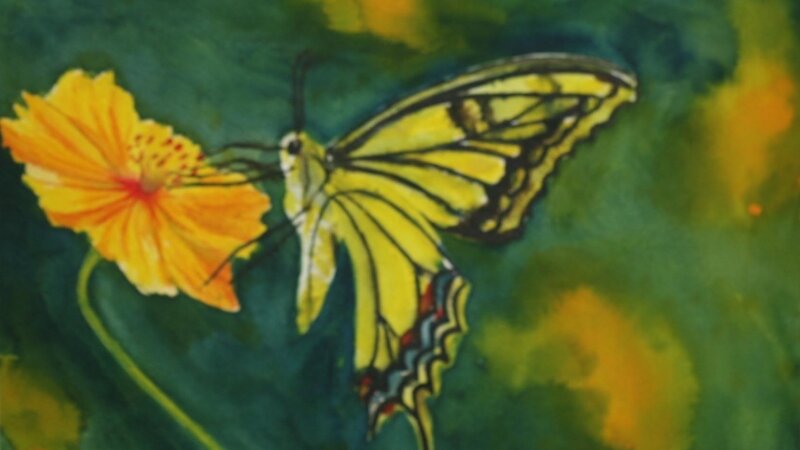 Drawn by the fragrance