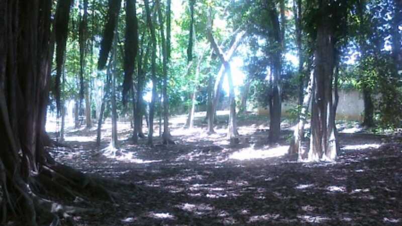 Heaven