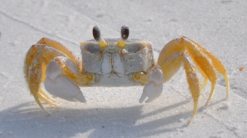 I've been crabby all day.