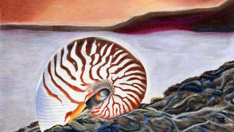 Can You Hear Me Now?