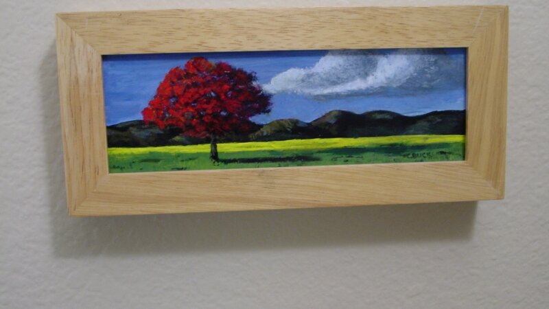 Canola Field with Red Tree