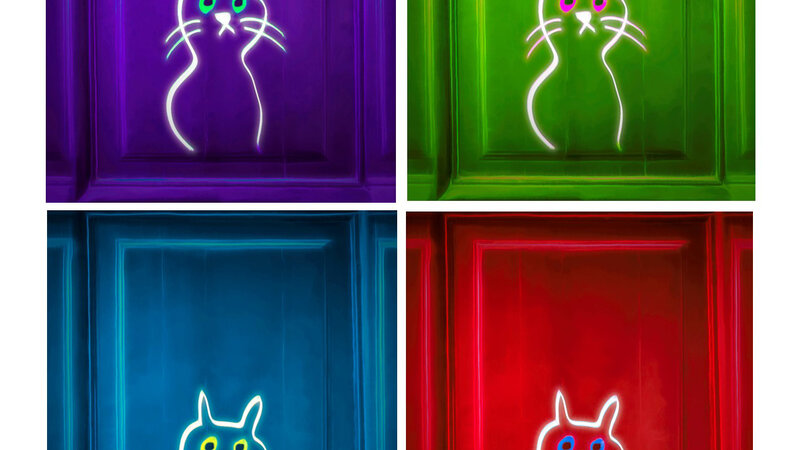 4 cats in various colors