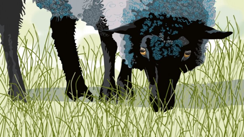 Caught Grazing
