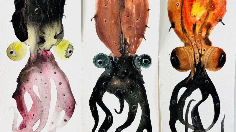 Watercolor paintings of cephalopods from 2020.