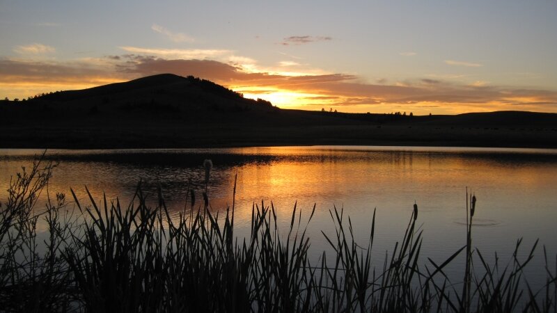Evening Rise