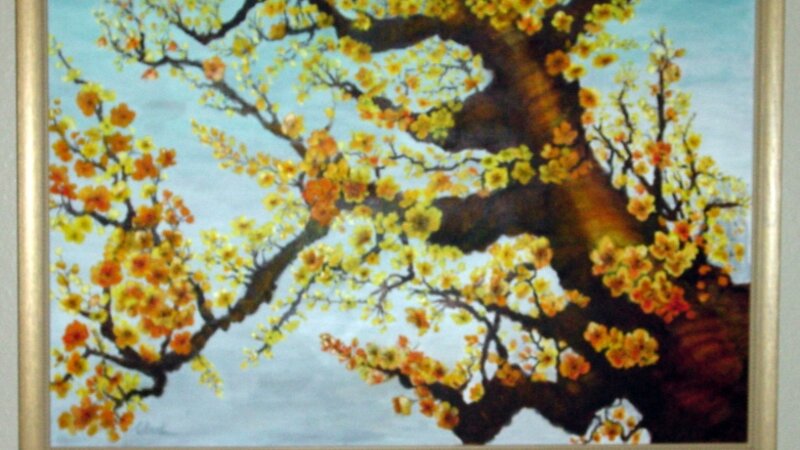 Cherry Blossoms
