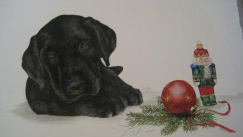 "Christmas Puppy"