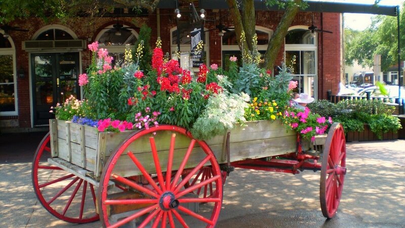 To Market,To Market...City Market,that is