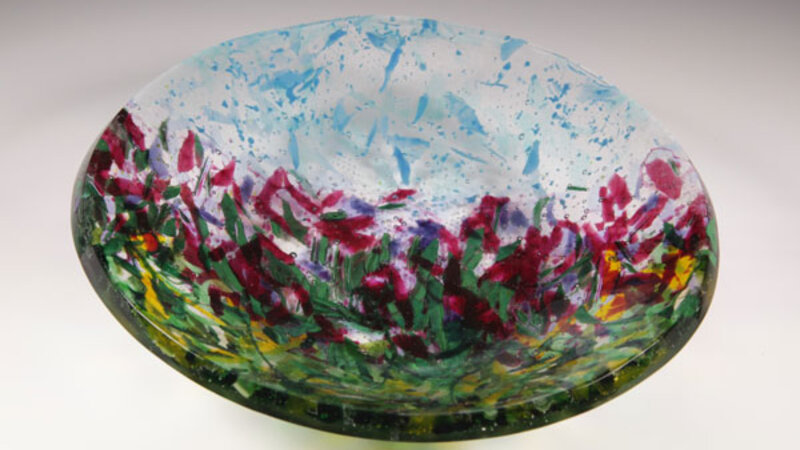 Colorado Wildflowers