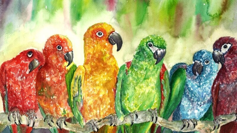 Tropical Birds