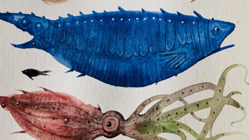 Watercolor of  imaginary squid and fish in motion, 2021. 