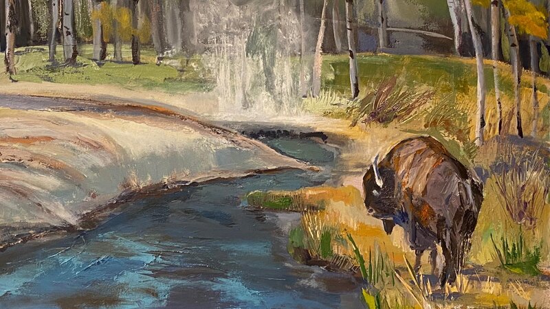 Bison and Hot Spring Yellowstone