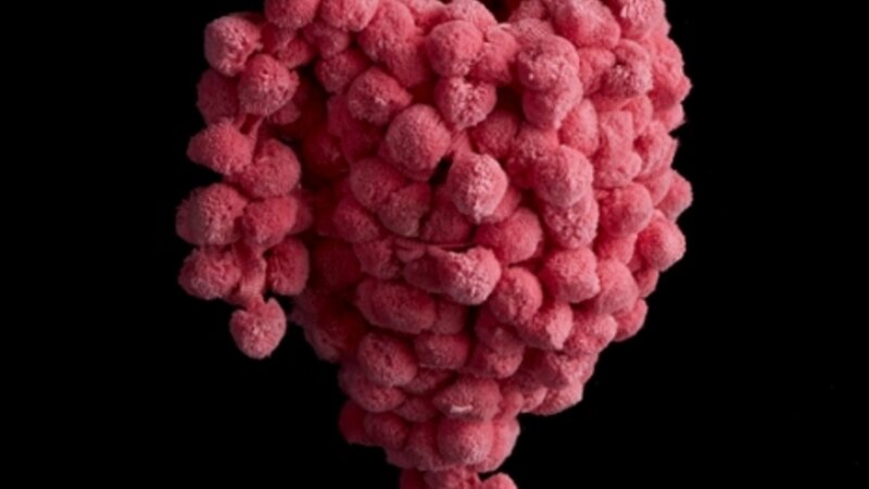 Untitled Vessel (2013)