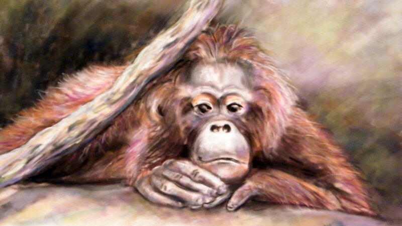 Contemplating