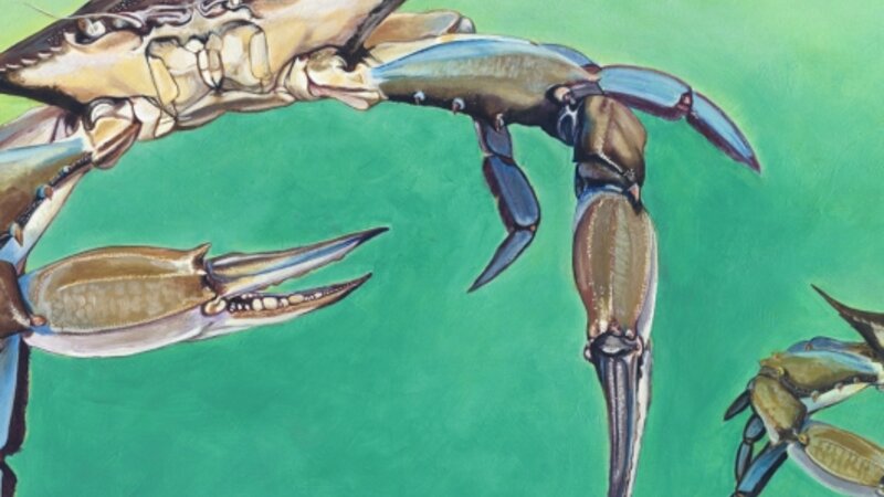 Crab Attack