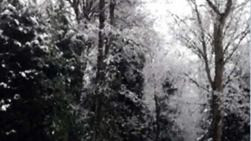 Creek Side in Winter