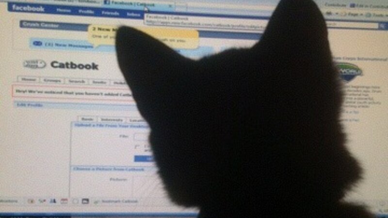 Curiosity...