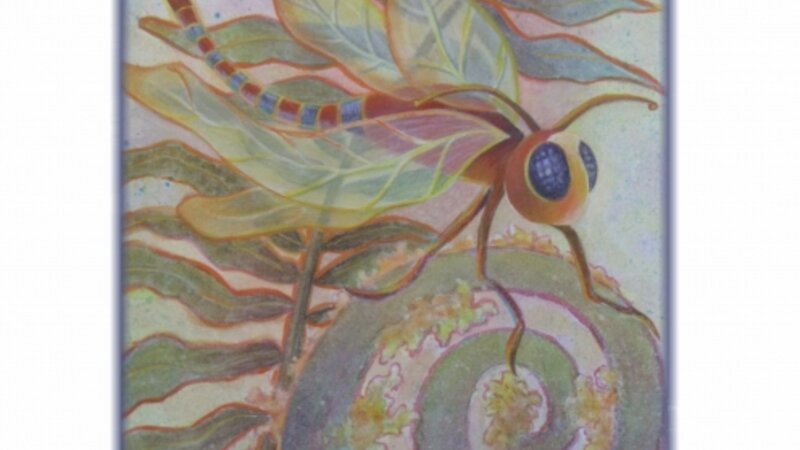 Fanciful Creations