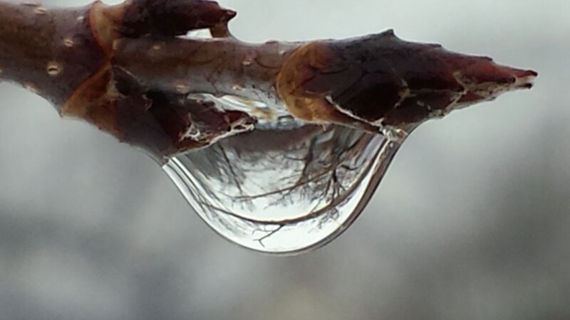 Every Bit of New Understanding Nourishes My Soul