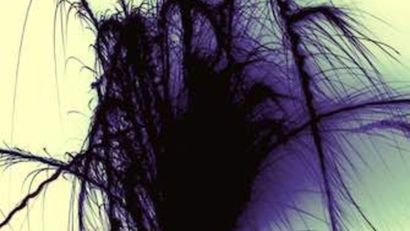 duosoulart.com Painting