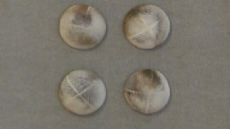 Untitled Installation 2