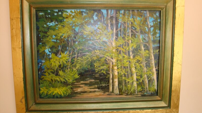 Surprize Forest, Martha's Vineyard