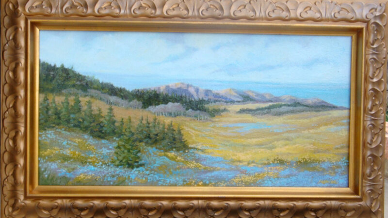 Springtime in the Rockies