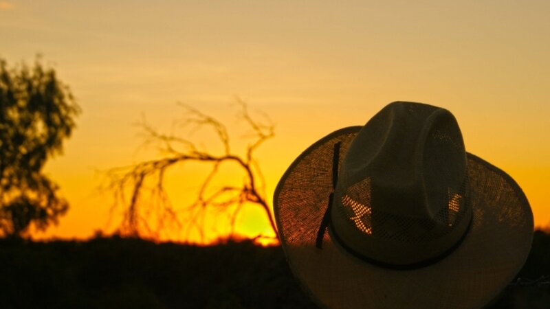 Cowboy