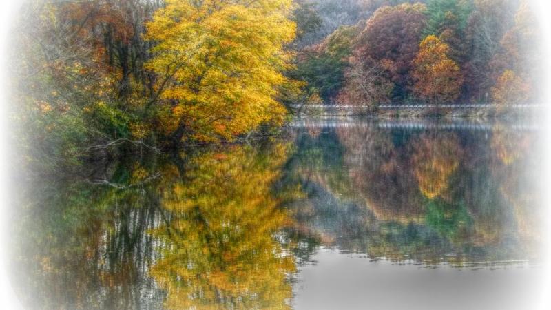 Fall reflection 2