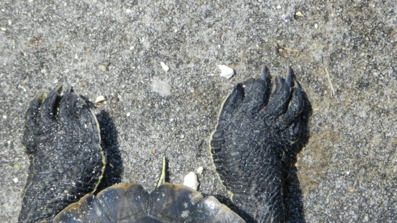 Wil be leaving now....