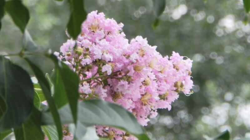 Beauty of nature