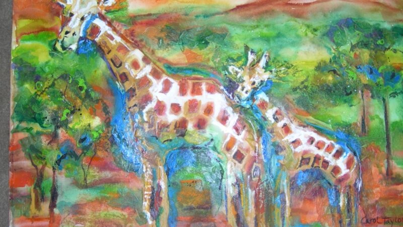 Giraffe Family at Watering Hole