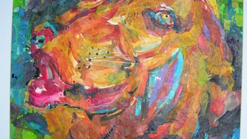 Zena