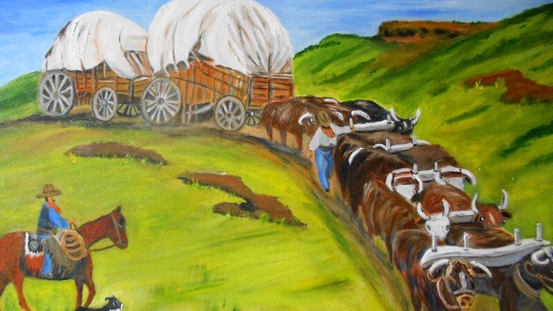 Oxen Train