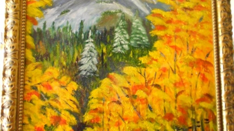 Colorado Aspens