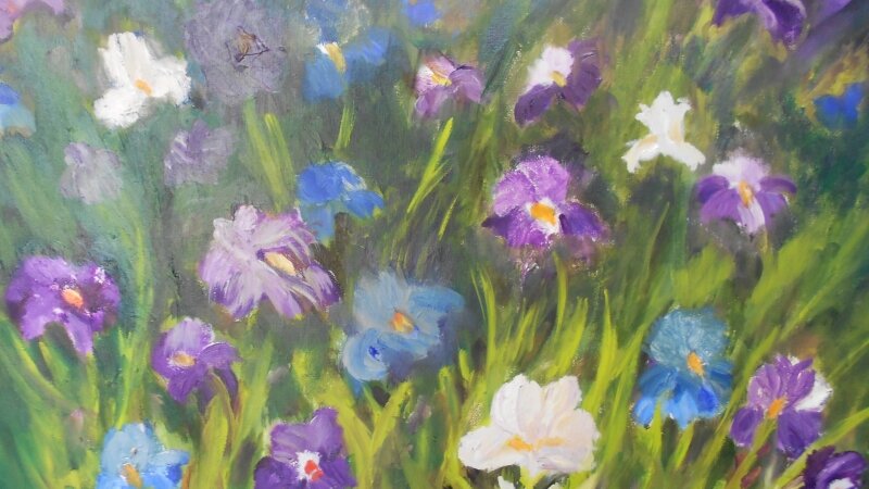 Wild Flowers