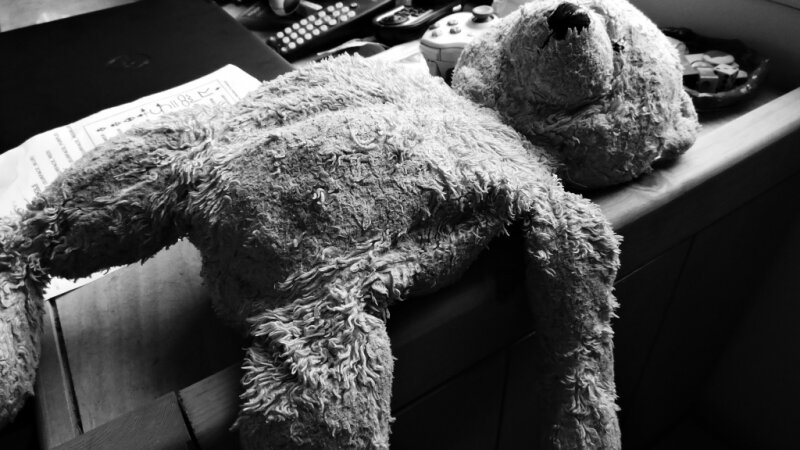 A 'Beary' Special Time