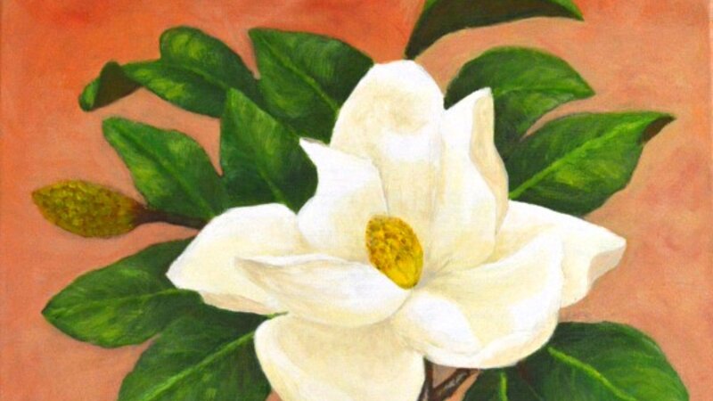 "Magnolia II"