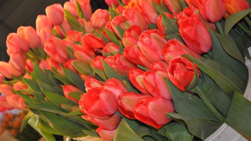 Pike's Place Market