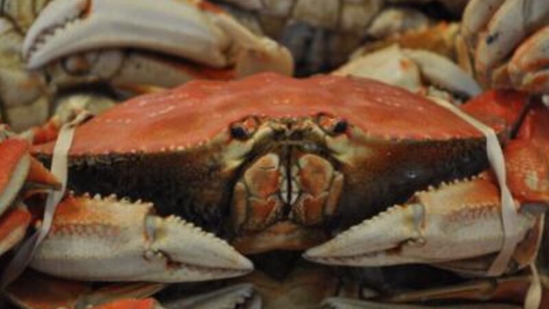 Pike's Place Crab
