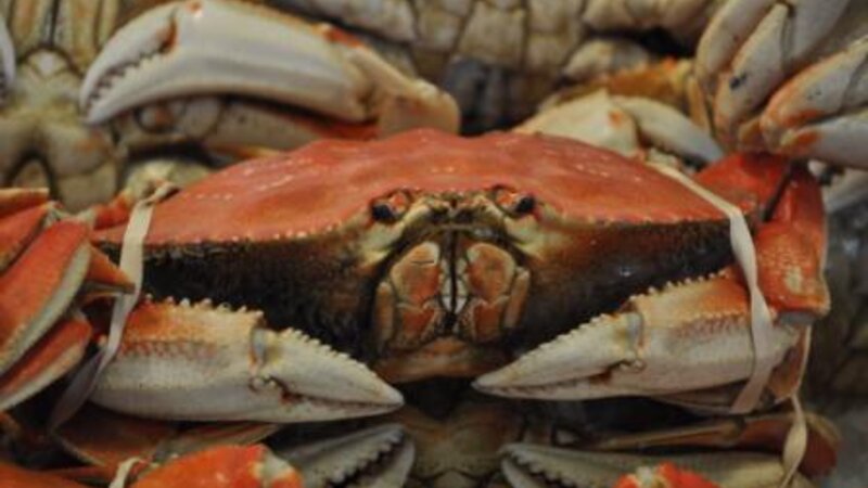 Pike's Place Crab
