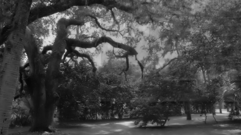 Forest Manor
