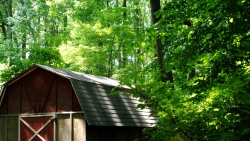 Old farm shed