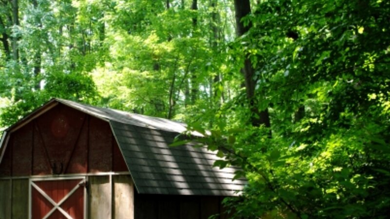 Old farm shed