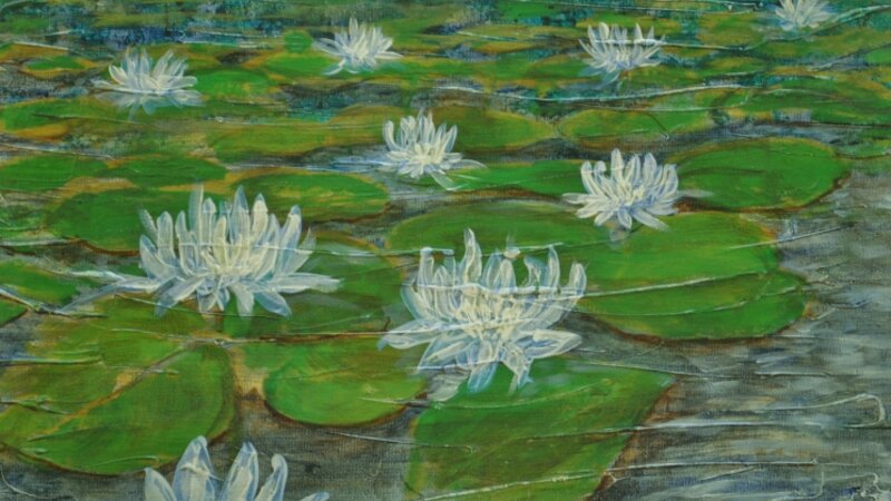 Pictures of Lillies