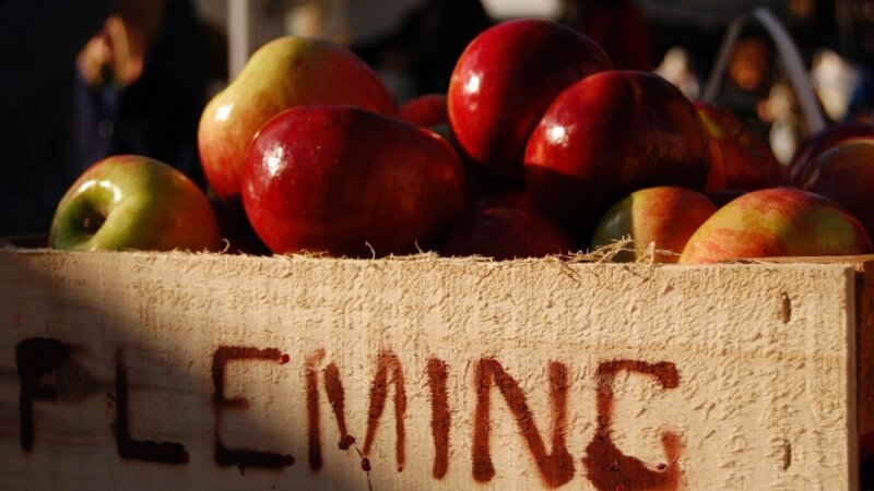 An Apple A Day