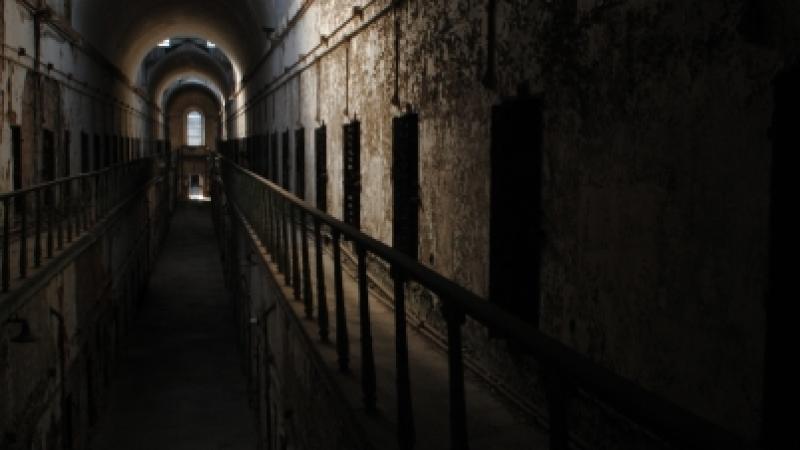 darkness calls to them