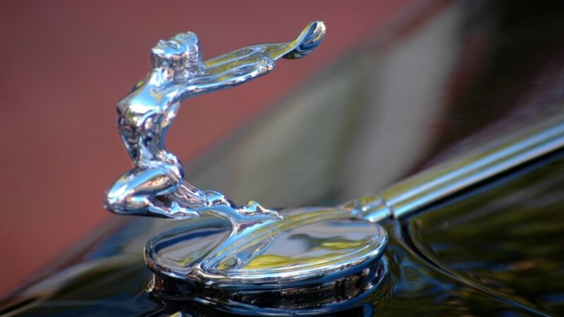 The lines of a woman...